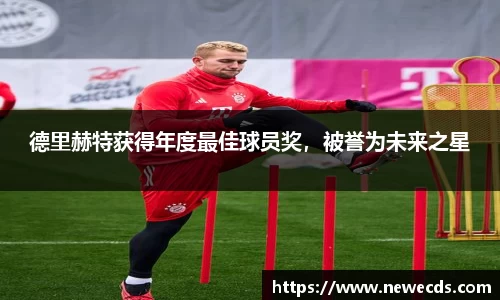 熊猫体育app