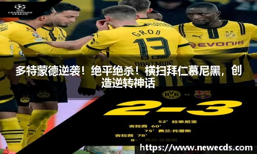 熊猫体育平台官网