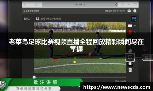 老菜鸟足球比赛视频直播全程回放精彩瞬间尽在掌握