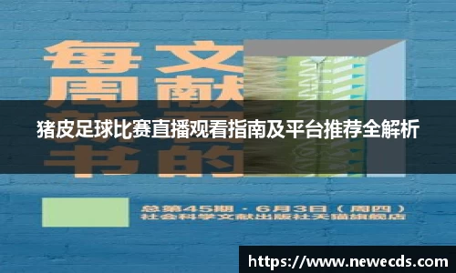 熊猫体育