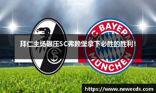 熊猫体育平台官网