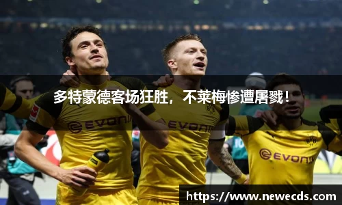 熊猫体育平台官网